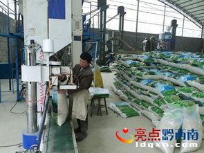 晴隆總投資800萬元琳隆薏仁米加工廠建成投產，優化投資管理助力鄉村振興